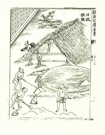 35-wps图片
